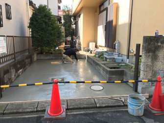 ネコと私