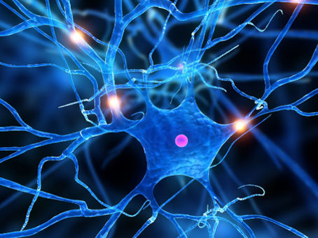 SCLEROSI MULTIPLA: l'utilizzo della micoterapia ripara il danno,blocca la distruzione e aumenta 