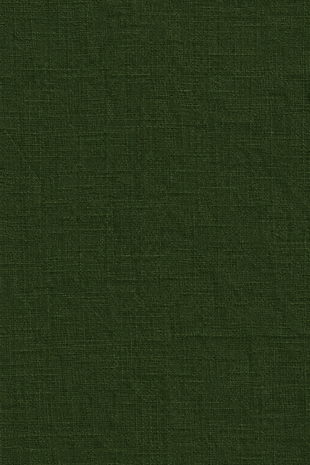 ChatGPT Image Sep 14, 2026, 08_52_18 AM.png
