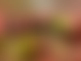 Hotel Hacienda Lima Norte se posiciona como el lugar para organizar eventos en la capital del Perú 