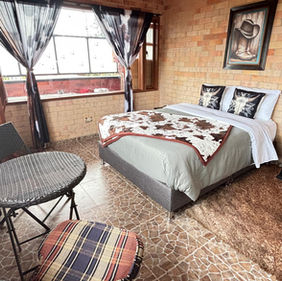 Habitación Apartamento temático Rancho Texas