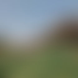 Mas Salagros, el primer EcoResort 100% ecológico en Barcelona