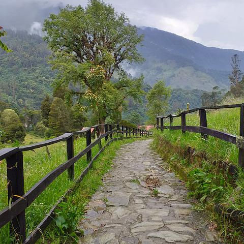 Ibagué, destino cultural y gastronómico de Colombia