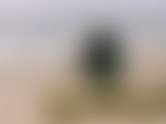 13 hábitos para mejorar tu salud mental