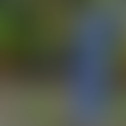 ¿Aburrido del Turismo Común? El Turismo Responsable es la Nueva Onda 