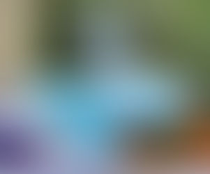 Un viaje hacia la salud y la regeneración