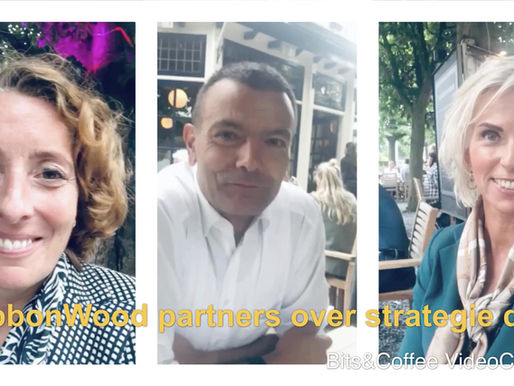 Partners over strategie dag