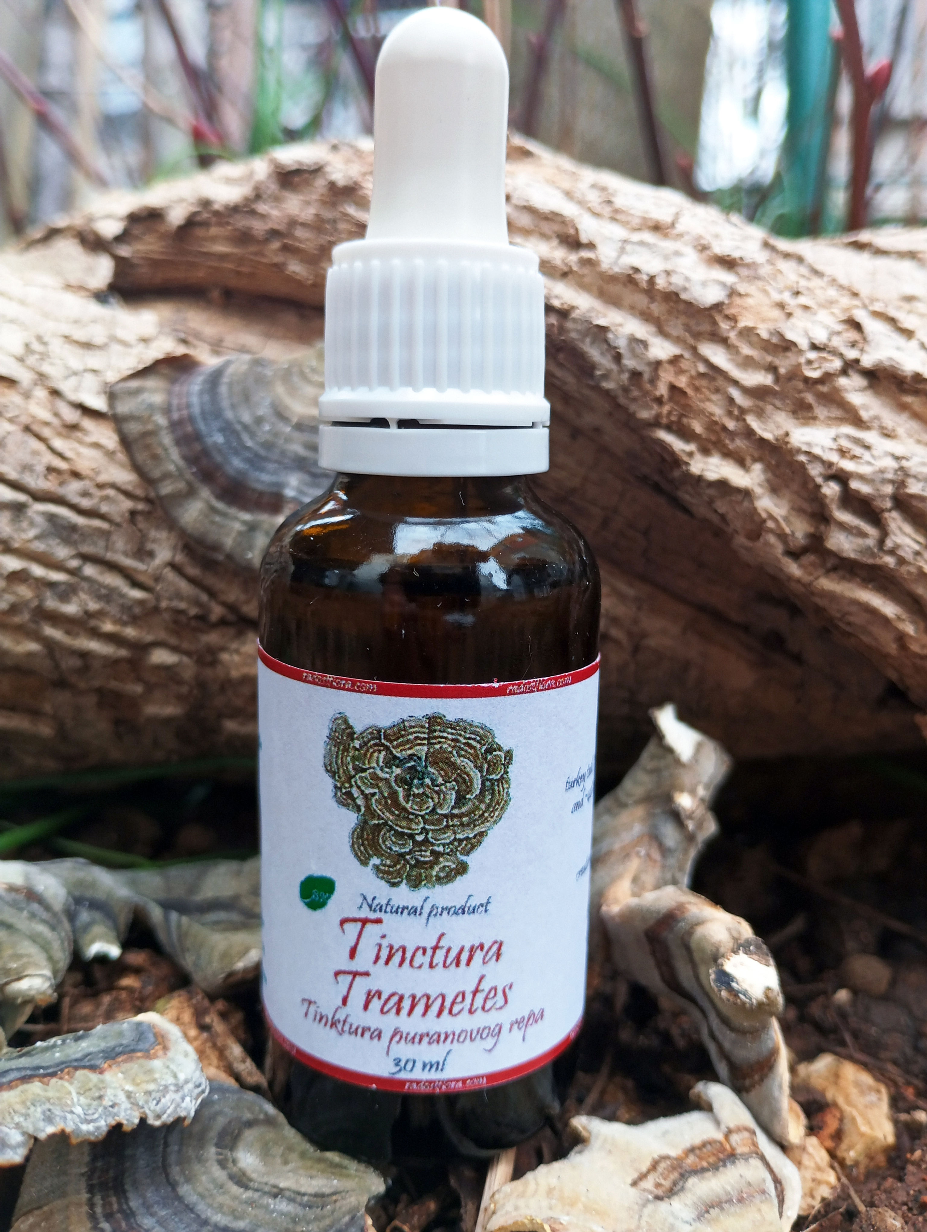 Tinctura Trametes Tinktura puranovog repa 30ml (Trametes versicolor)