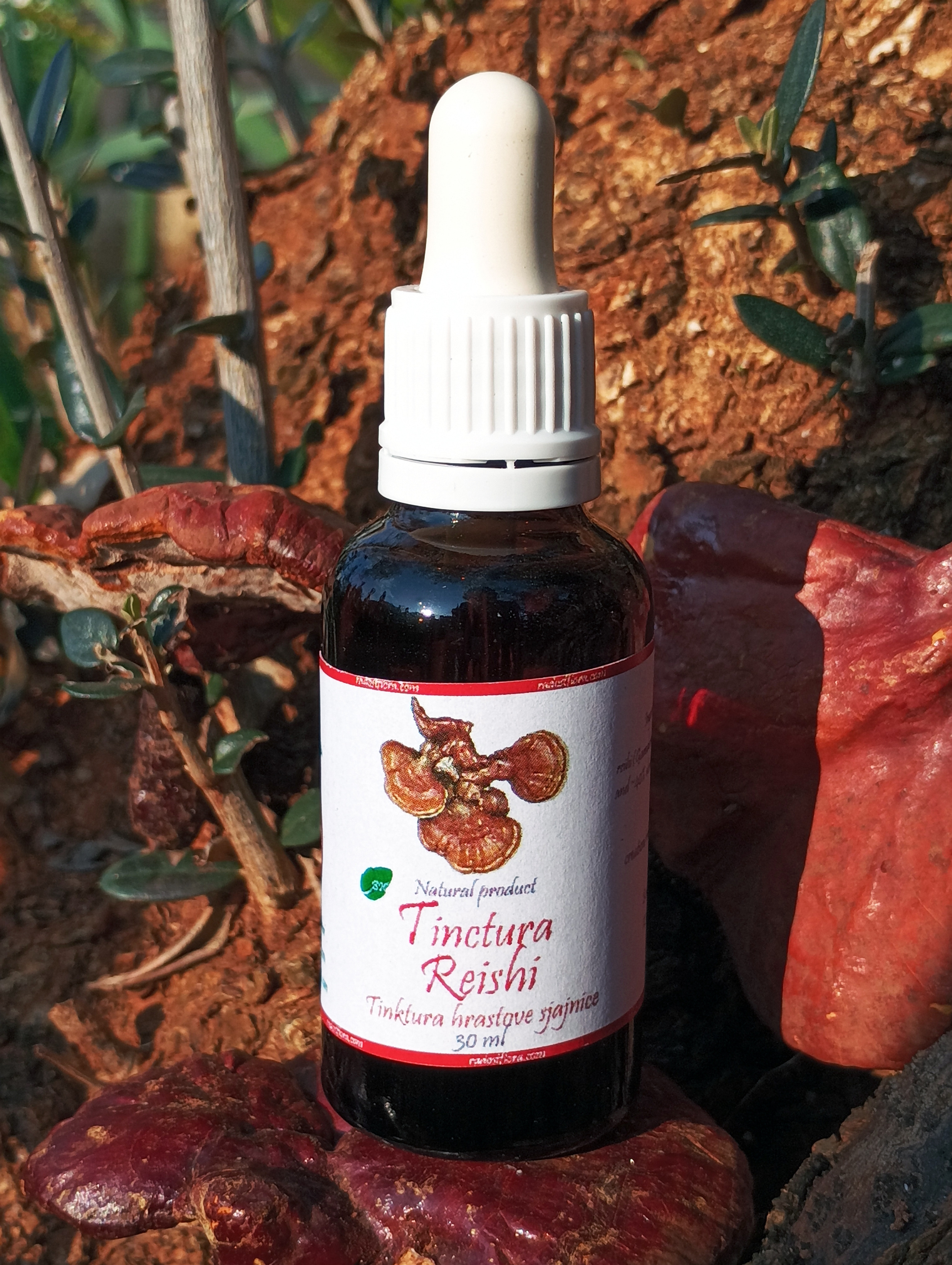 Tinctura reishi Tinktura hrastove sjajnice 30ml (Ganoderma lucidum)