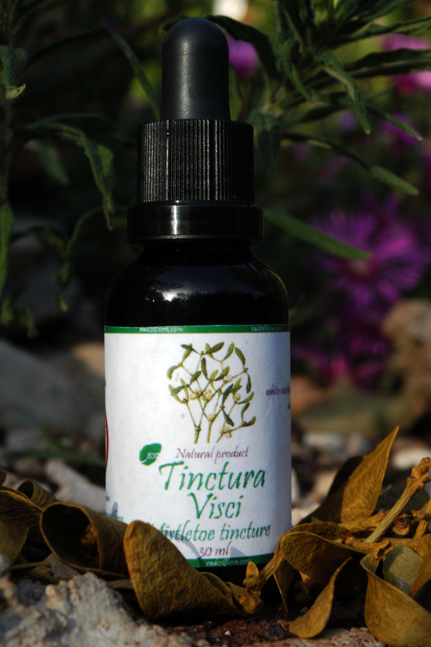 Tinctura Visci Mistletoe tincture 30 ml (Viscum album)