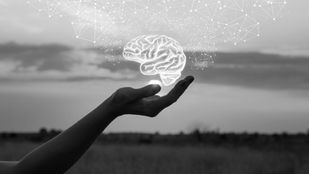 Signature Performance and World Mental Health Day 