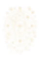 CODEX - 5A.png