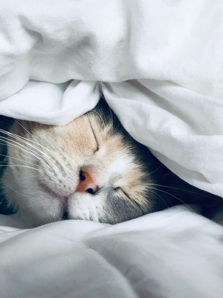 Ta zone de confort : ta meilleure ennemie