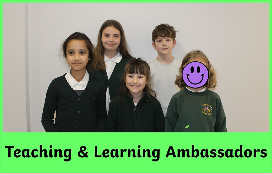 Teaching & Learning Ambassadors.jpg