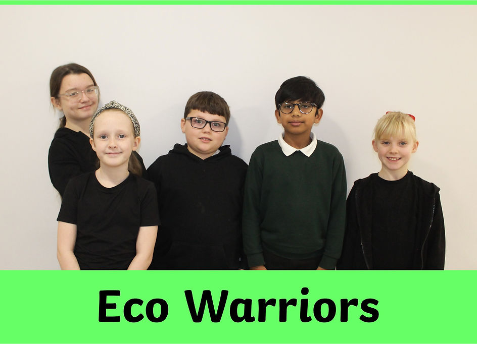 Eco Warriors.jpg