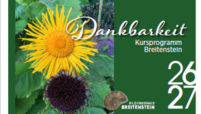 Dankbarkeit