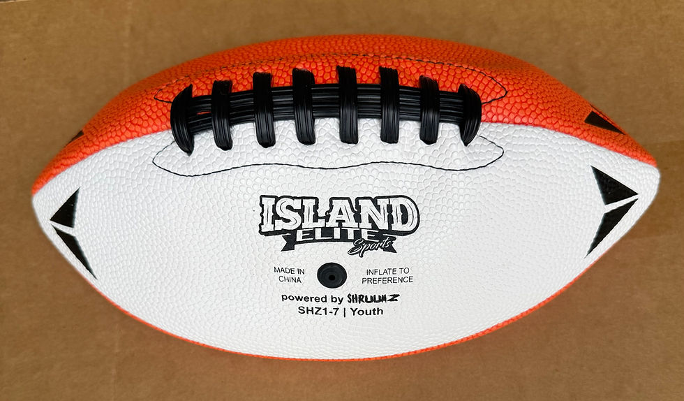 IES GAME BALL (Orange/White)