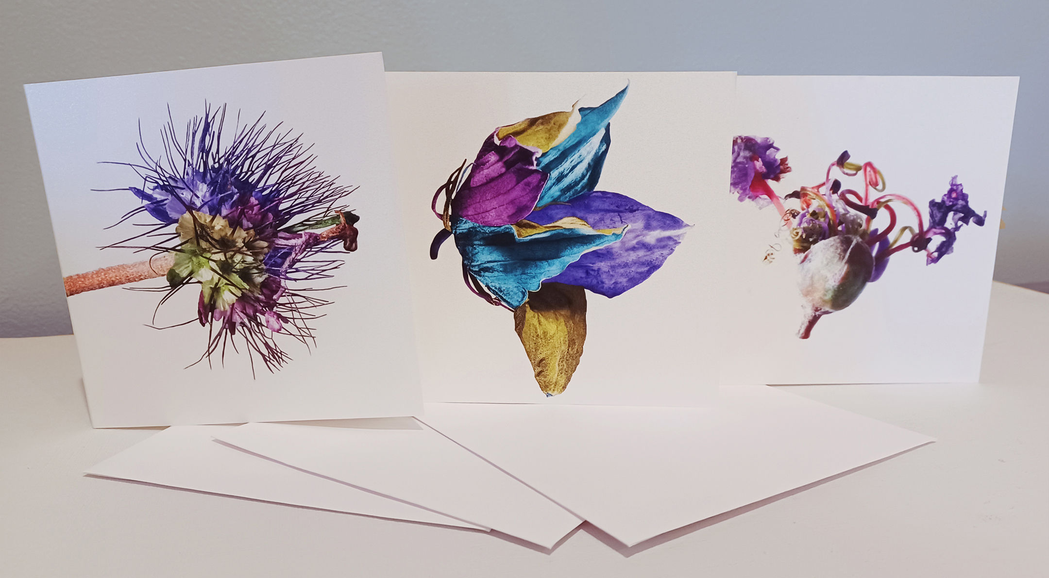 "MUTUALSIM: Botanicals" Note Cards  (3-Pack)