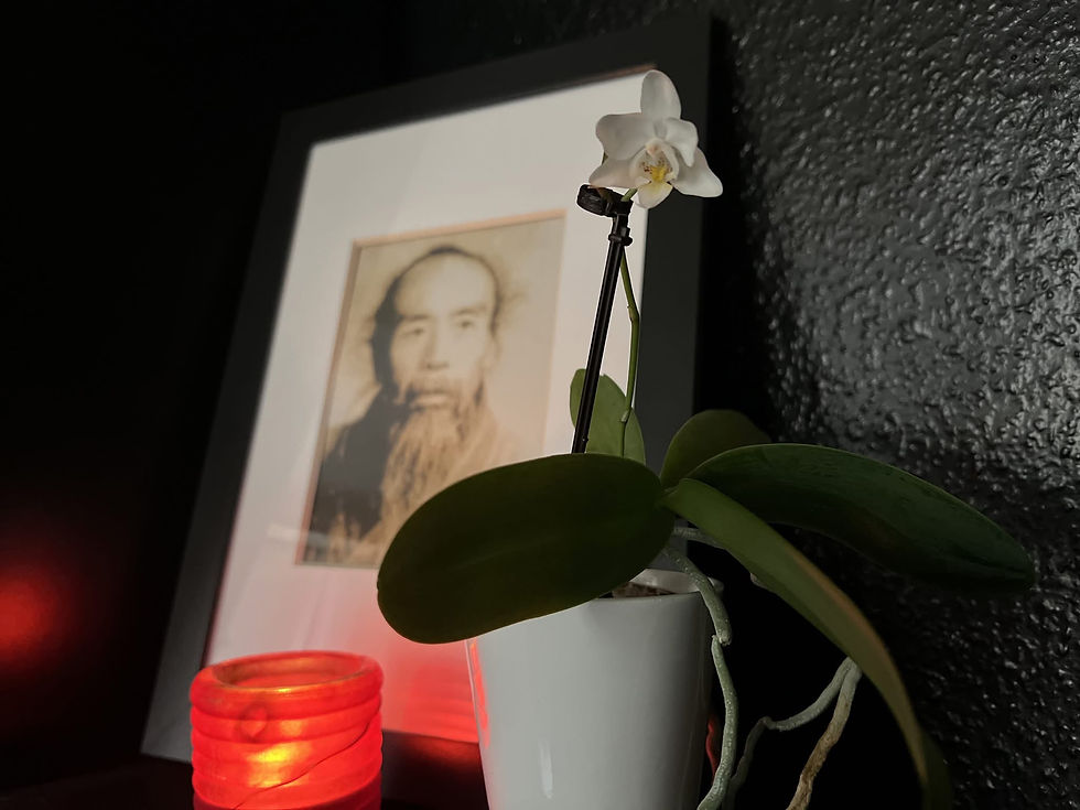 Wu Zhiyuan伍止淵Quanzhen Longmenpai name: Chengding 誠鼎Taoist name: Lingyuanzi 陵源子