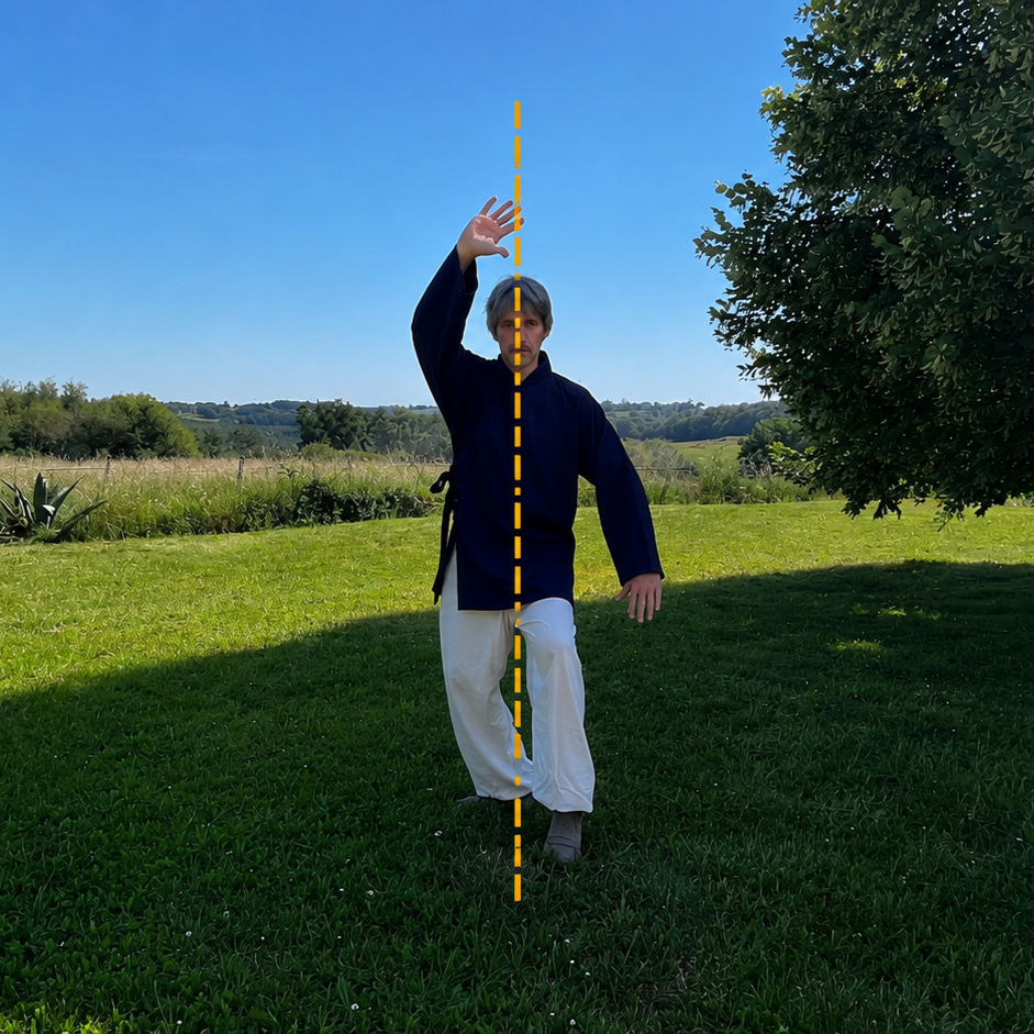 Dingbu (Nail stance)