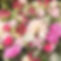 4761f374-920a-40ab-ba7f-febdb34bd768.JPG