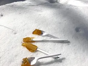 Maple Syrup