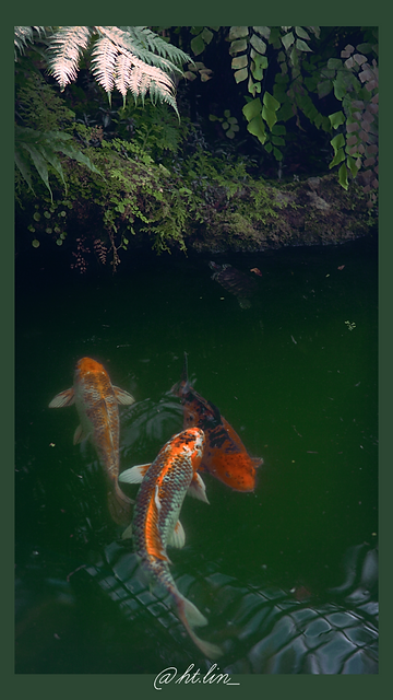 A6502733(1)_GBorder.png