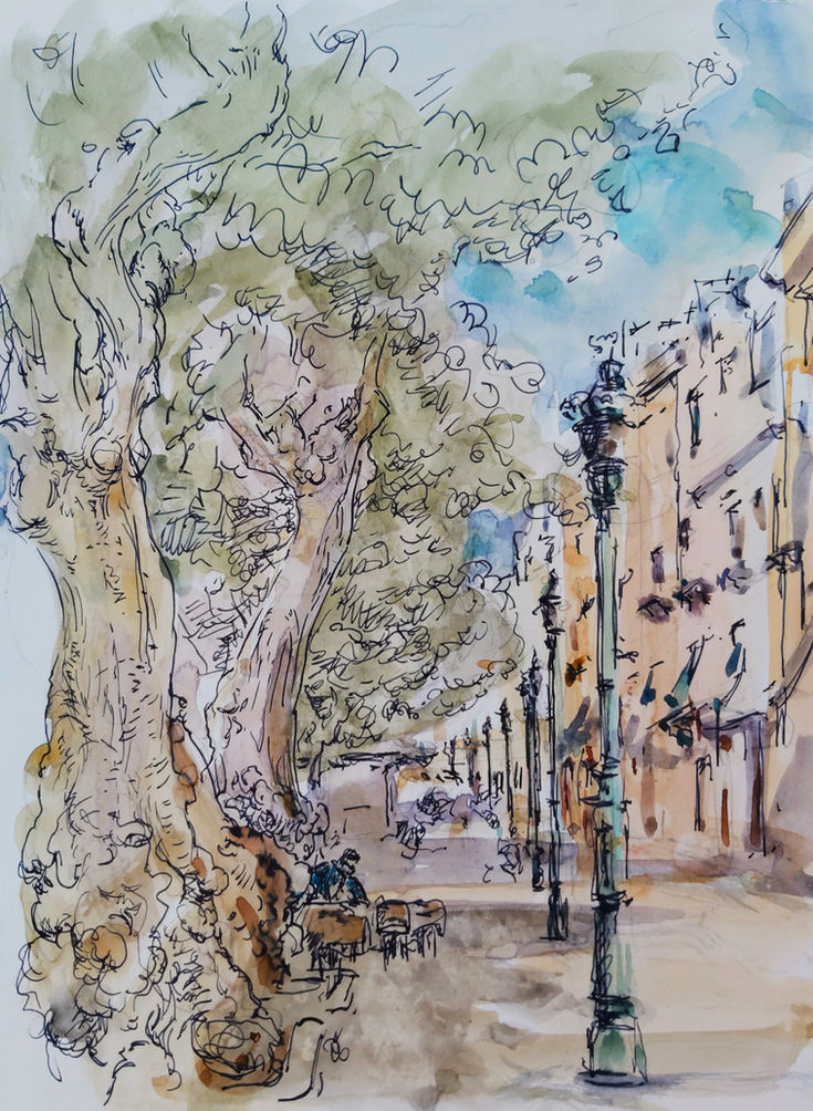 representational artwork Landscape city plein air sketch watercolour and ink Knobbly Coral Trees opera arte rappresentativa Paesaggio citt� schizzo all'aria aperta acquerello e inchiostro Eritrine Nodose Sicily