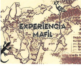 Pronto "Experiencia Máfil"