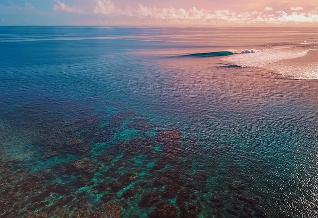 Contact Trident Spearing Contact Trident Spearing