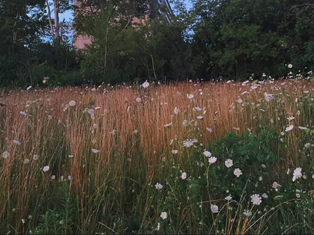 I Thought Growing Up Would Feel Less Lonely