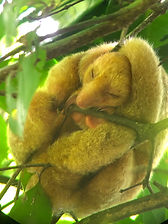 beach house drake bay