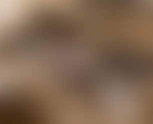 That one junk drawer