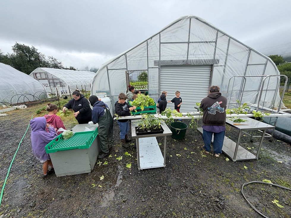 A Bountiful Harvest & a Sweet Trade at Agriculture Camp