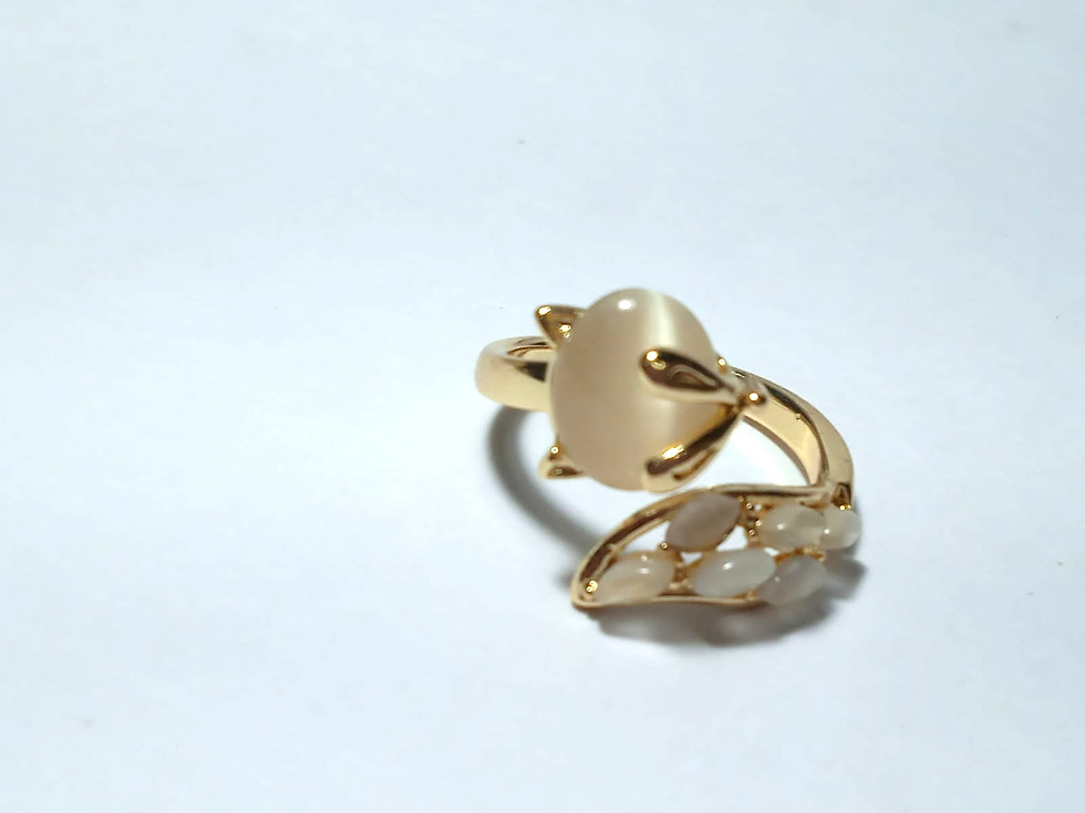 Miniatura: Anillos en Acero