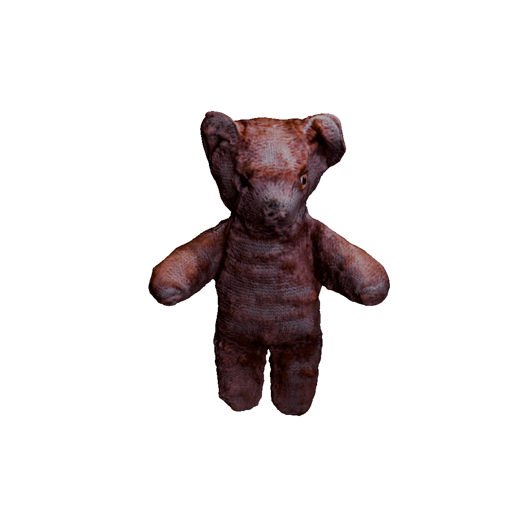 TEDDY IN MID-AIR