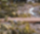 Screenshot_20240302_123016_Samsung Notes_edited.png