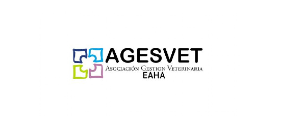 Servicios De Consultor a Estrat gica Y Coaching ESCOACHING Programas Servicios De Consultor a Estrat gica Y Coaching ESCOACHING Programas