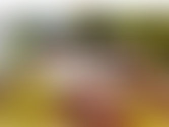 Bienestar en el Trabajo y Liderazgo: Claves para el Éxito