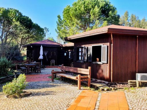 YMCA Alambre Camp