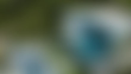 Contemporary Villa Living