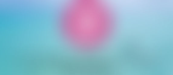 DG Travel – End of Year Review