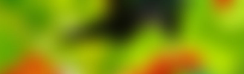 St Lucia - jagged, jungle-clad