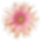 ROSATA