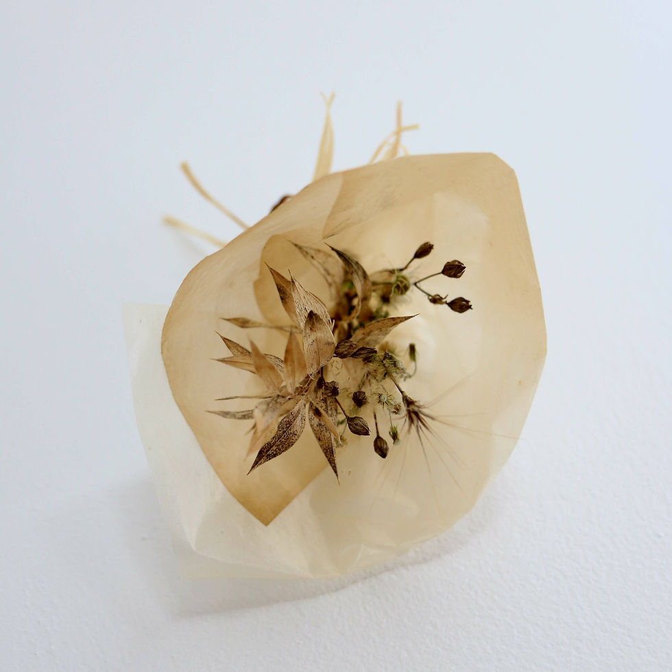 Anna Purna Mood - fleurs séchées