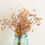 Miniature : Anna Purna Mood -bouquet fleurs sechees