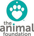 animal foundation.jpeg