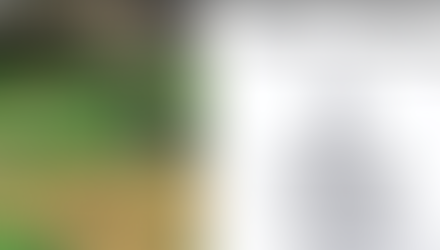 Atelier Pilates & Méditation à Bordeaux