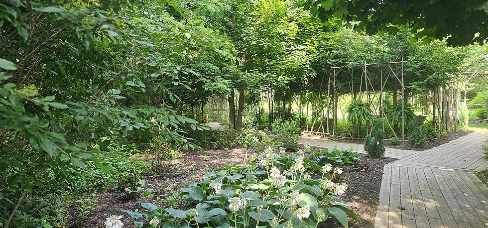 20260709_170514.jpg