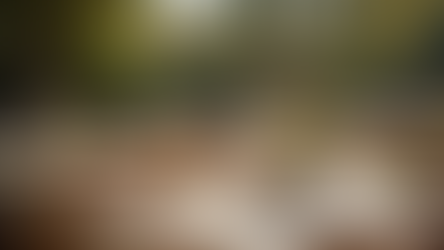 Selecting Party Rentals: How to Choose the Right Party Rental Services